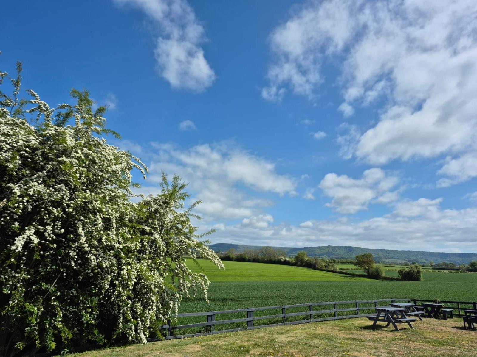Hotel The White Horse Thirsk